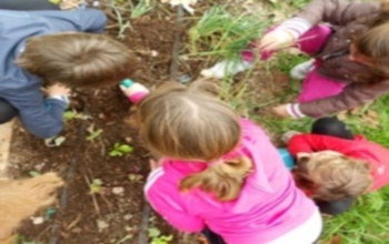 Educación ambiental